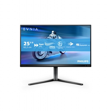 PHILIPS Monitor 24,5" Evnia 5000 25M2N5200U/00, FHD, LCD, sivi